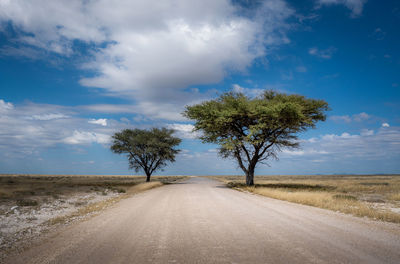 Road amidst trees against sky