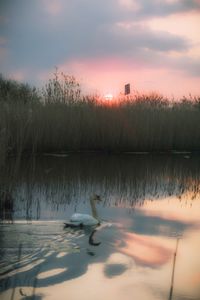 Scenic view of lake against sky during sunset