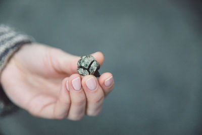 Close-up of hand holding pine cone