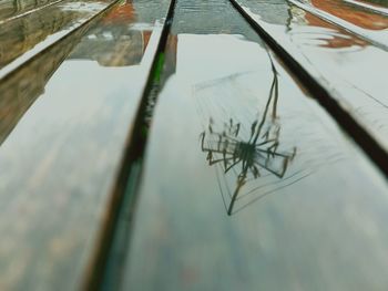 High angle view of wet glass on lake during rainy season