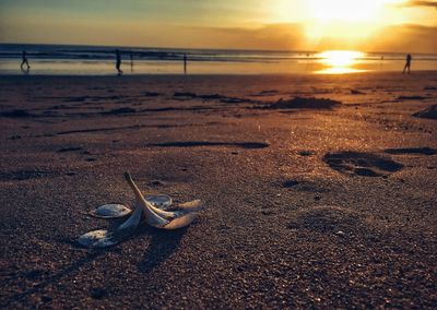 Scenic view of beach against sky during sunset