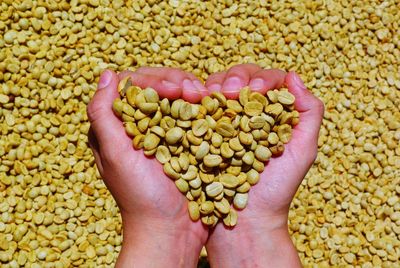 Close-up of human hand holding coffee beans