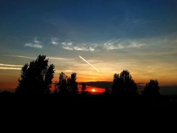 Silhouette trees against sky during sunset