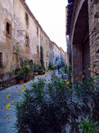 View of canal along buildings