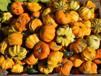 Full frame shot of pumpkins for sale