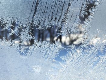 Close-up of frozen glass