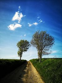 Dirt road by trees on field against sky