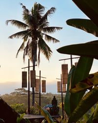 Palm tree by swimming pool against sky