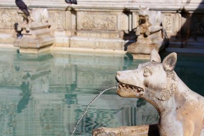 Water splashing from wolf sculpture