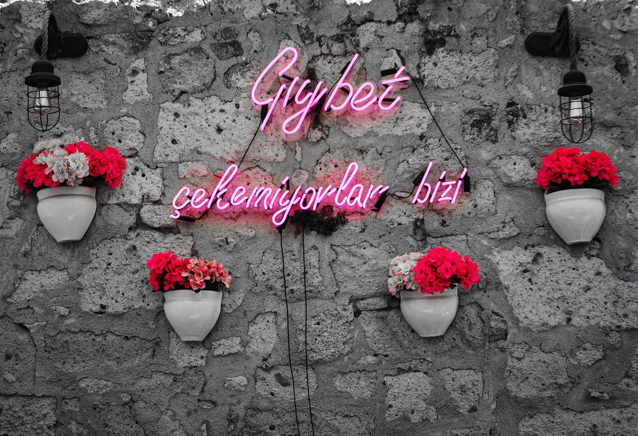 flower, flowering plant, text, red, no people, plant, western script, day, nature, petal, communication, flowerpot, high angle view, outdoors, wall, wall - building feature, grave, freshness, pink, heart shape, love, architecture, black and white, built structure, positive emotion, art