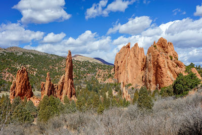 Panoramic view of trees on landscape against cloudy sky