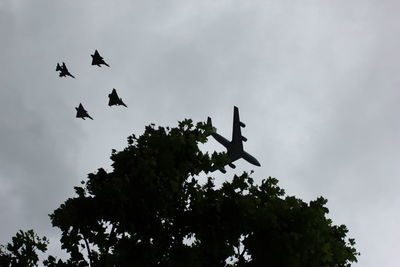 Low angle view of birds flying in sky