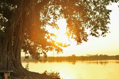 Sunset over lake