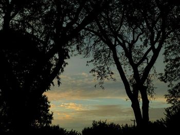 Low angle view of silhouette tree against sky at sunset