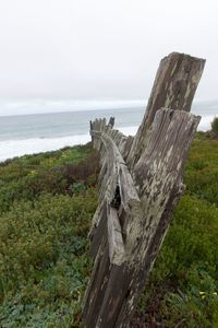 Close-up of wood by sea against sky