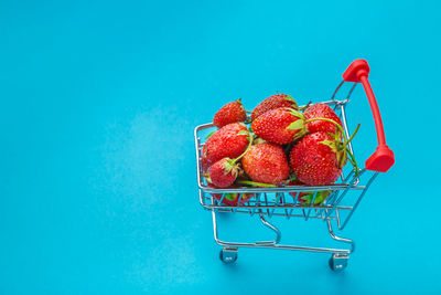 High angle view of fruits against blue background