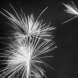 Low angle view of firework display at night