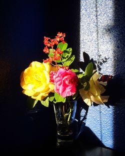 Close-up of multi colored roses in vase