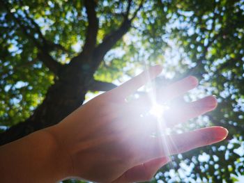 Low angle view of person hand against bright sun