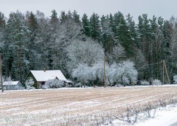 View of trees on snow covered field