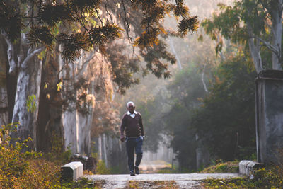 Man walking by trees in forest
