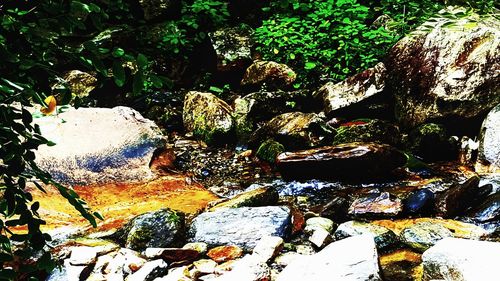 Scenic view of water flowing through rocks