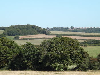 Scenic view of farm against clear sky