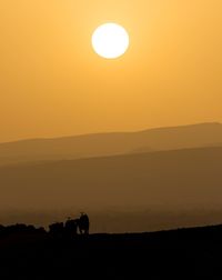 Sunset in sahara desert with camels on the background as silhouettes