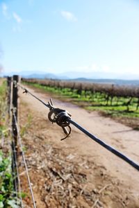 Close-up of barbed wire on wooden post on field against sky