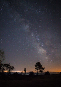 Low angle view of silhouette trees against star field at night
