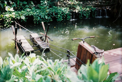 Birds in a lake