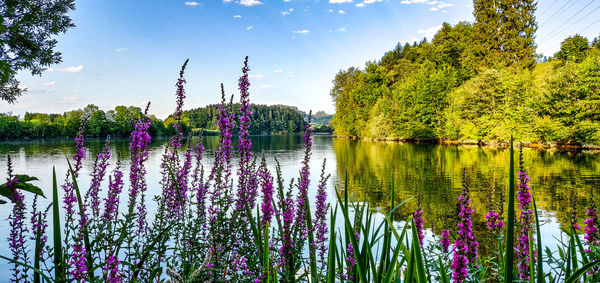 Scenic view of lake against cloudy sky