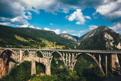 Arch bridge over forest against sky