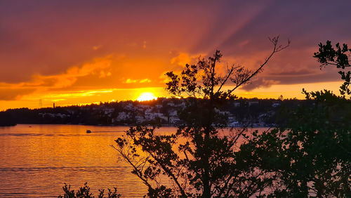 Silhouette plants by lake against sky during sunset