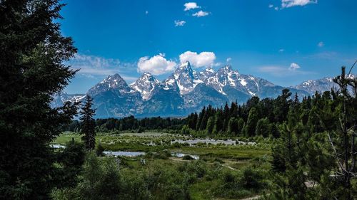 Scenic view of trees and mountains against blue sky