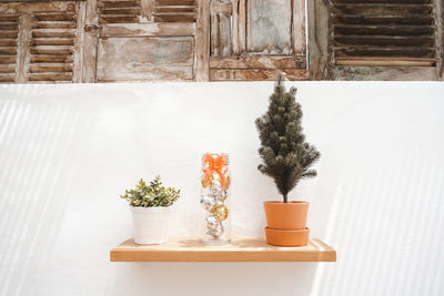 Potted plant on table against wall