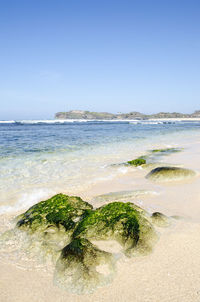 Scenic view of beach against clear sky