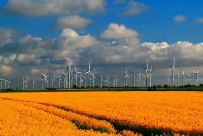 Scenic view of field against sky with many windmills in line at horizon