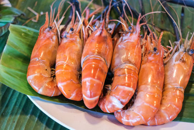 High angle view of fish in plate