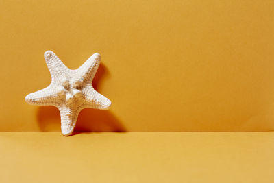 Close-up of a animal representation