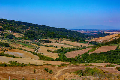 Scenic view of agricultural field against sky