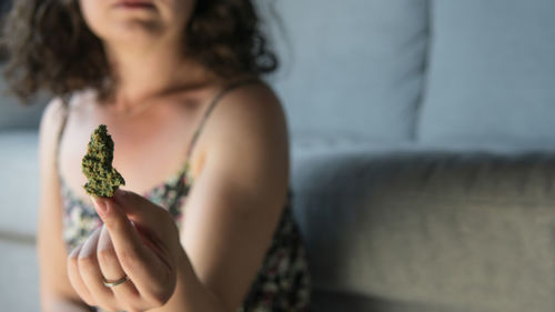 Midsection of woman holding marijuana while sitting against sofa