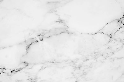 Full frame shot of snow covered trees