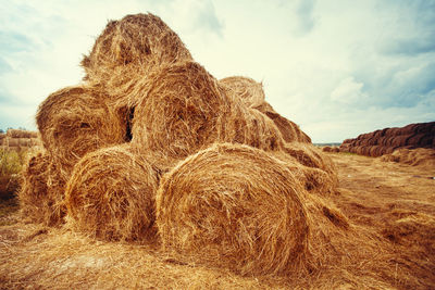 Hay bales on the field at summer time. agriculture background and concept. nature landscape.