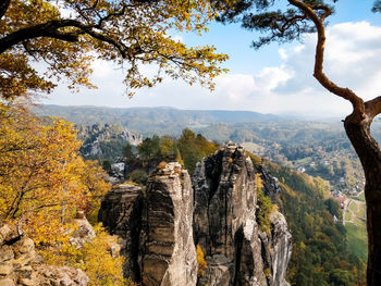 Panoramic view of trees in forest against sky during autumn