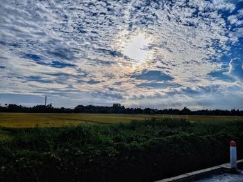 Scenic view of field against sky