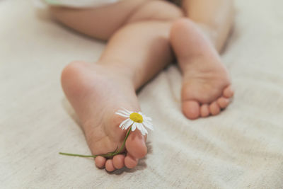 Cropped hand of woman holding flower