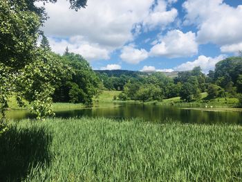 Scenic view of lake against sky