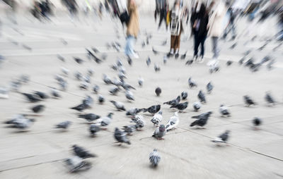 Activity in city square