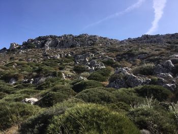 Low angle view of green landscape against sky